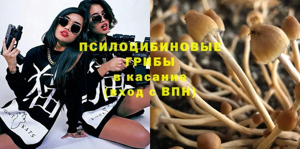 ECSTASY Алексеевка
