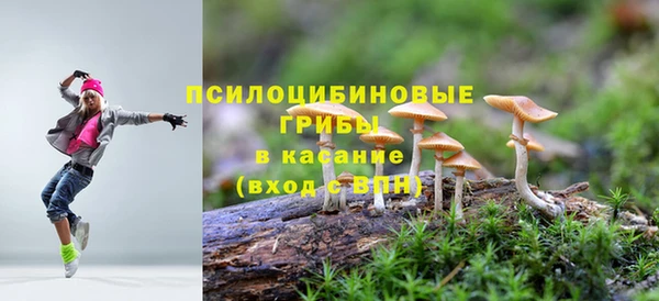 твердый Алексин