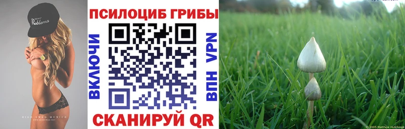 закладки  Анжеро-Судженск  Галлюциногенные грибы Psilocybe 